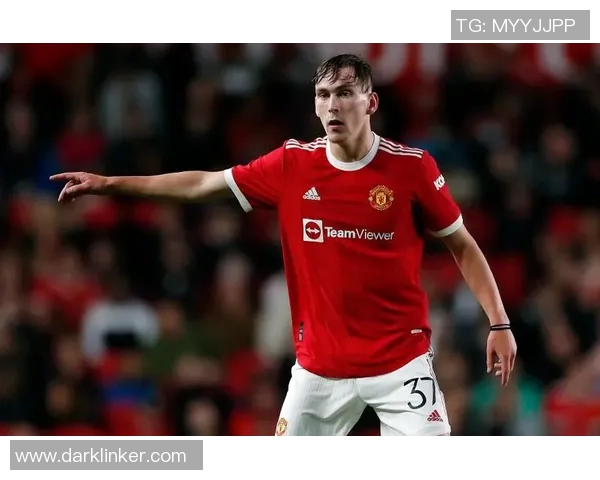 京多安的足球之路：从青训新星到世界级中场的辉煌历程