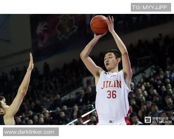 代怀博的成长之路：从学术新星到行业领军人物的蜕变与挑战